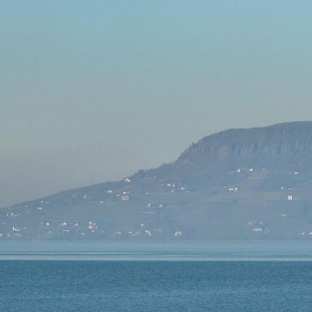 Balaton A Kertben - Balaton In The Garden - Beachfront Houses With Beautiful View, Private Beach Балатонфеньвеш Экстерьер фото